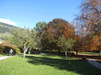 Herbststimmung im Garten des BKH © Martin Lugger