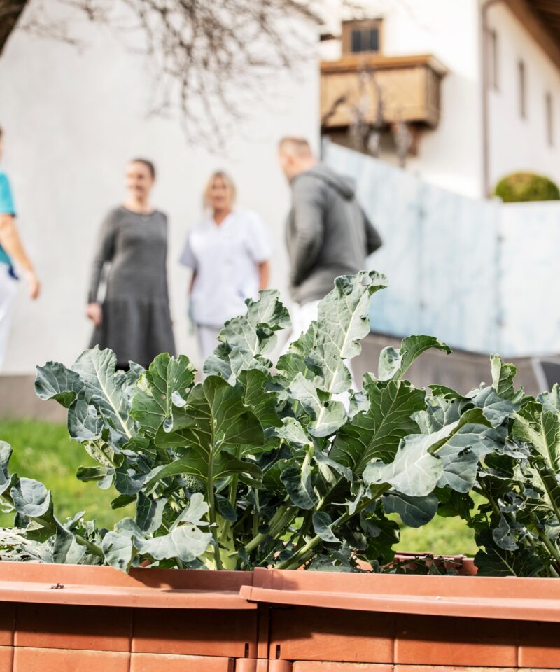 die Mitarbeiter:innen des Psychiatrie-Teams treffen sich im Garten mit den Patient:innen zu einer Gruppenübung