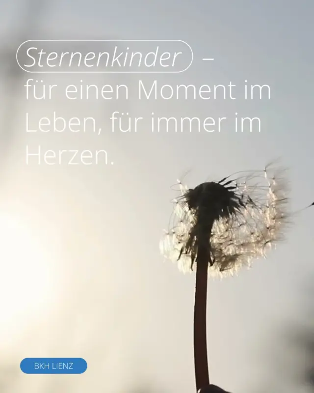 Sternenkinder – für einen Moment im Leben, für imm